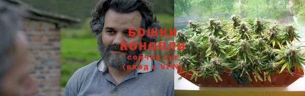 мет Ладушкин