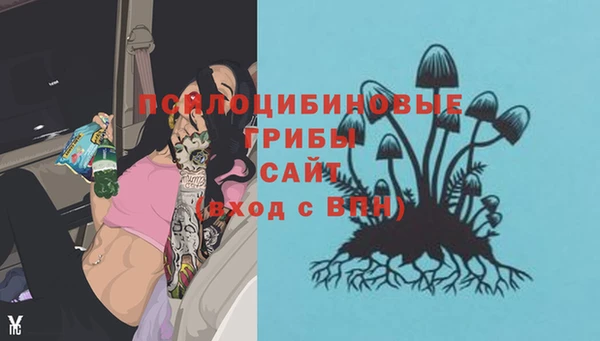 гидра Лабытнанги