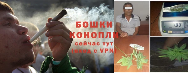 мет Ладушкин