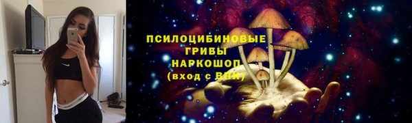 гидра Лабытнанги