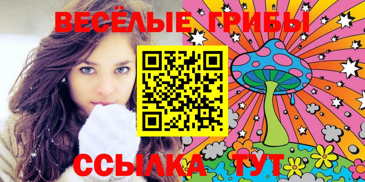 Псилоцибиновые грибы Psilocybe  Галлюциногенные грибы ЛСД  Ижевск 