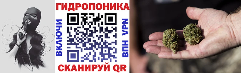 где купить   mega ССЫЛКА  Бошки Шишки AK-47  Ижевск 